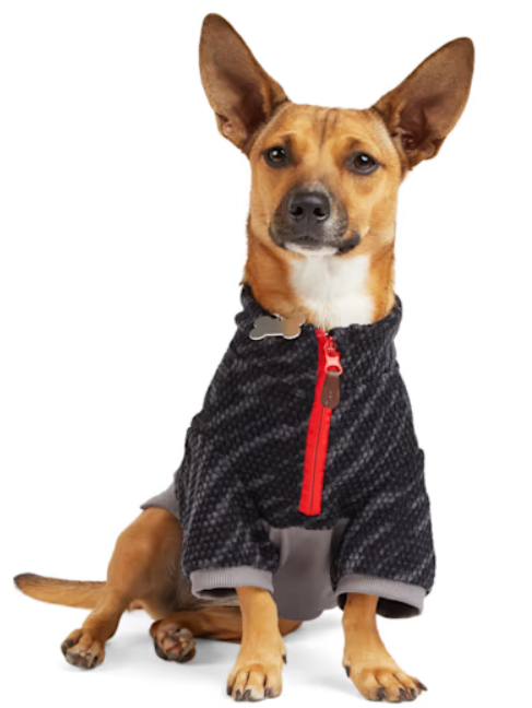 Reddy Black Baselayer for Dogs, XX-Small